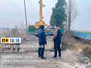 肥西县2025年农村公路养护工程15标现场检查